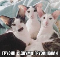 Увидев фото 11, вспомнил: