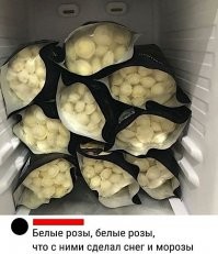 Картинки в чёрно-белых тонах. Выпуск 57