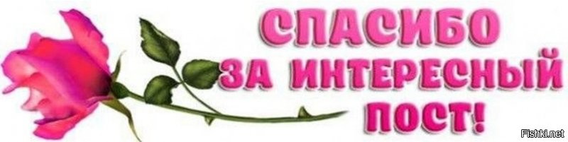 Солянка от 08.12.2021