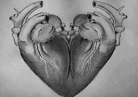 Смешные и познавательные картинки