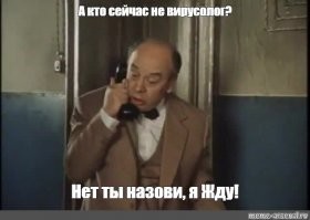 Мужчина, чтобы не прививаться от COVID-19, залез на дерево