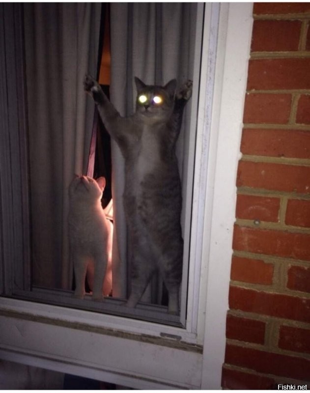 Солянка от 10.12.2021