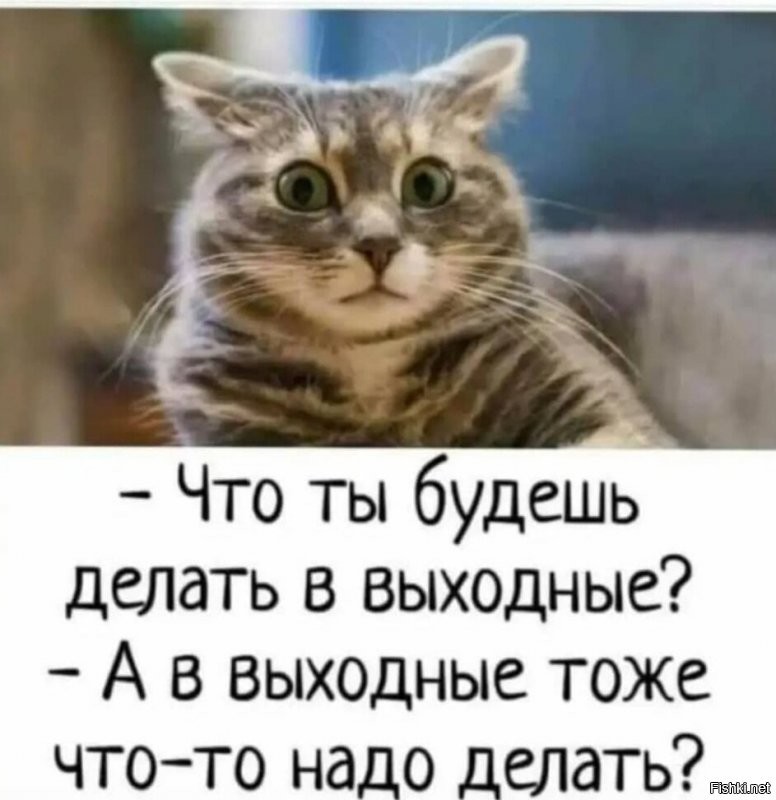 Солянка от 10.12.2021
