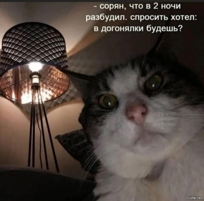 Солянка от 10.12.2021