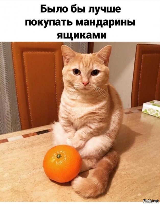 Солянка от 10.12.2021