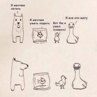 ... Альтернатива - утки!