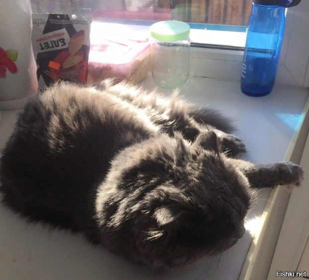 Доброе Валентина! Сын сегодня приезжает. Полгода не виделись. На улице жара -9.