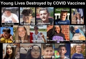 Мужчина, чтобы не прививаться от COVID-19, залез на дерево