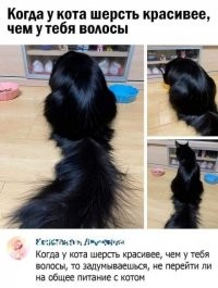 Кушайте "вискас", и ваши волосы станут мягкими и шелковистыми :)))