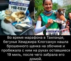 Если бы марафон был в Корее,  новость заиграла бы совершенно другими красками