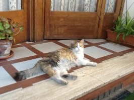 Картинки в чёрно-белых тонах. Выпуск 59