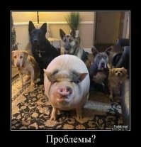 Картинки в чёрно-белых тонах. Выпуск 59