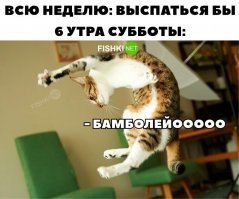 Автору СПАСИБО!! Время 5 утра!