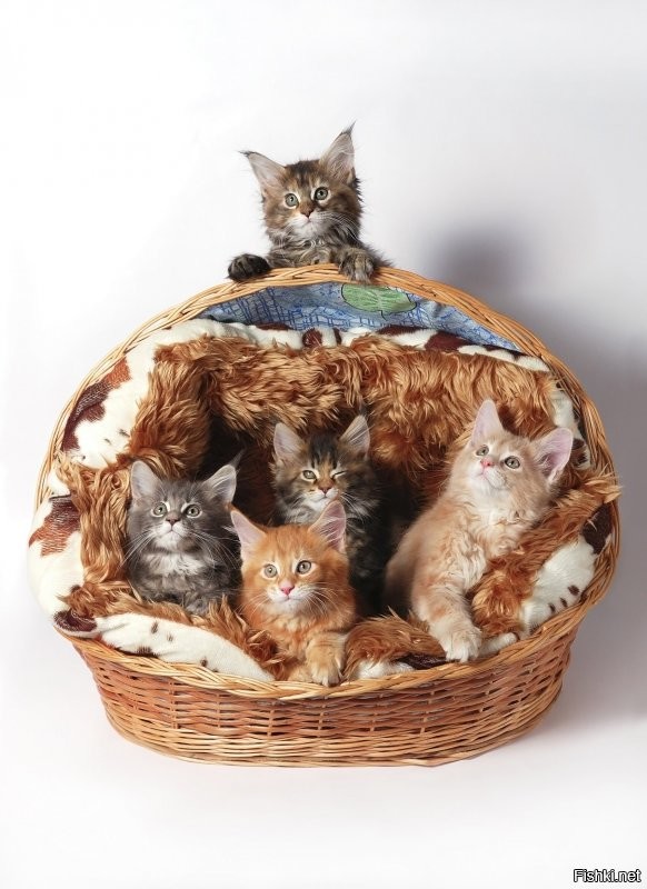 Доброе утро ) Уютных выходных