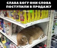 опять безграмотные мемы*