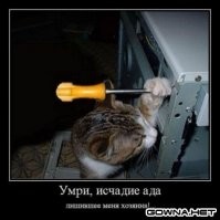 Забавные шутки, картинки и фразы из этих ваших интернетов