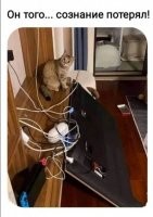 Забавные шутки, картинки и фразы из этих ваших интернетов