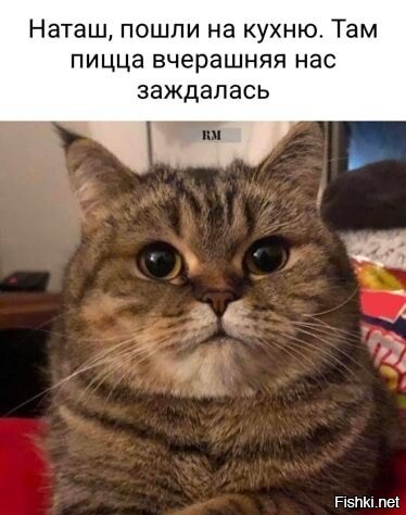Доброе утро ) Уютных выходных