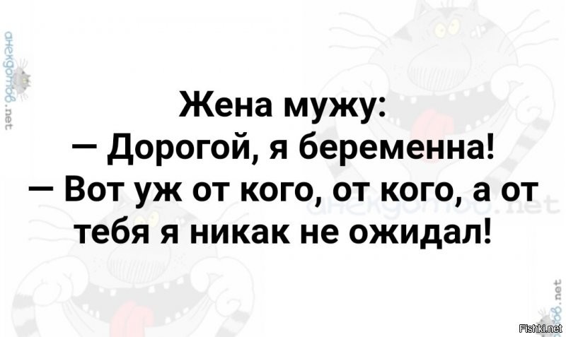 Солянка от 11.12.2021