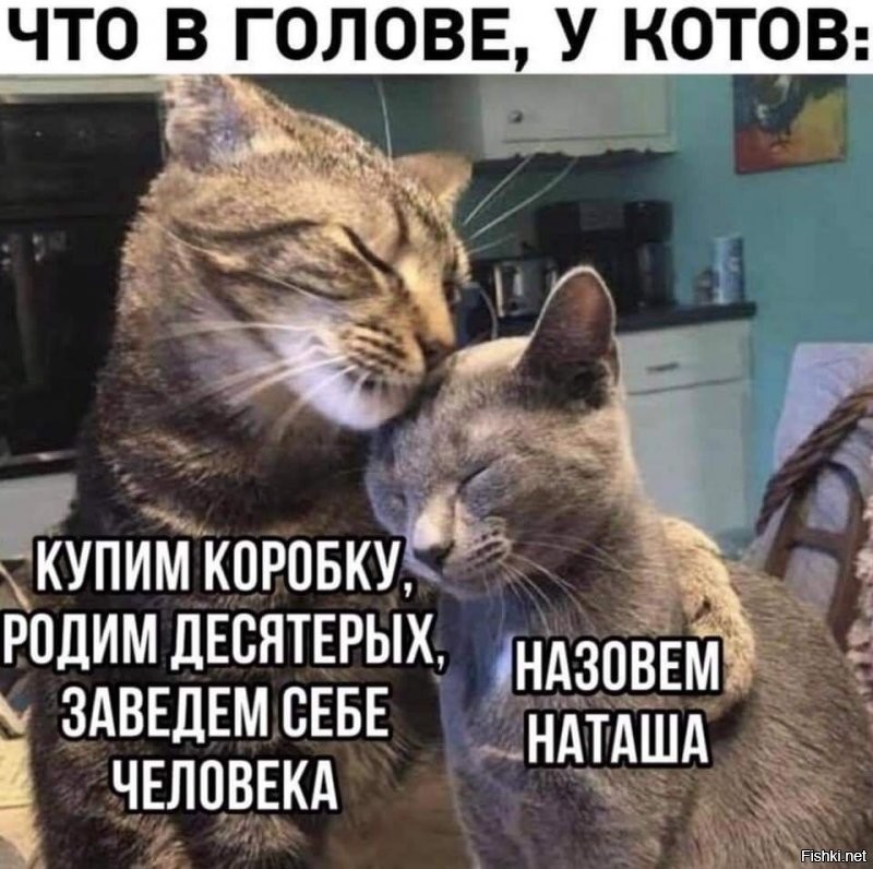 Солянка от 11.12.2021