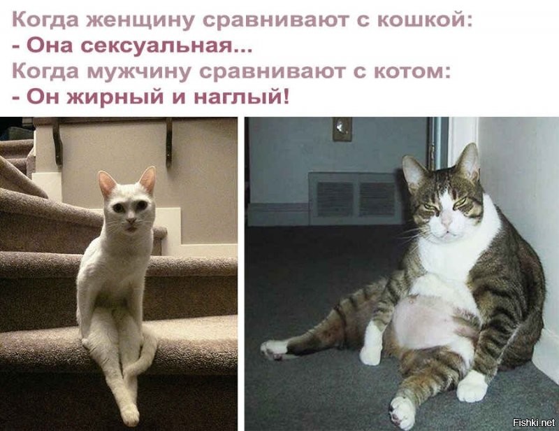 Солянка от 11.12.2021