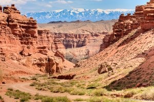 Я раньше по пустыням любил гулять это чарынский каньон , собирали там белые грибы , до сих пор понять не могу вроде кругом пески а откуда в них грибы ? там кроме змей , черепах , скорпионов ни чего нет .