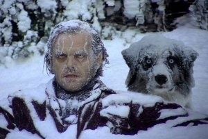 Я тоже так думаю.
Иначе я не понимаю, на)(уя там жить????