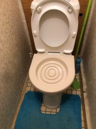 Продается специальная крышка для приучения к унитазу. Сначала просто ставится обычный лоток, через какое-то время прорезается маленькая дырочка, потом ещё одна и потом убирается вообще, а кот по привычке уже справляет нужду сам.
Вот, например на Али 300 р.:
 392,40 руб.  10%OFF | Лоток для приучения кошек к унитазу. Артикул: М5998. Разноцветный.