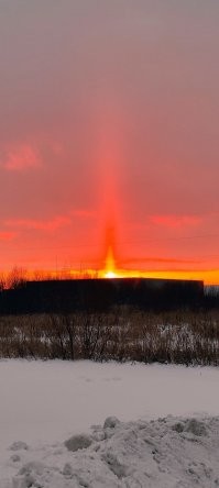 Недавно на Витебском шоссе сфотографировал.