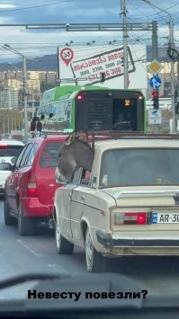 Прикольная подборка