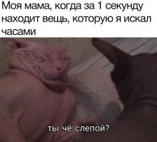 Самое интересное в том, что в большинстве случаев это она её и переложила.