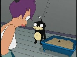 глядя на таблетки, вспомнилось