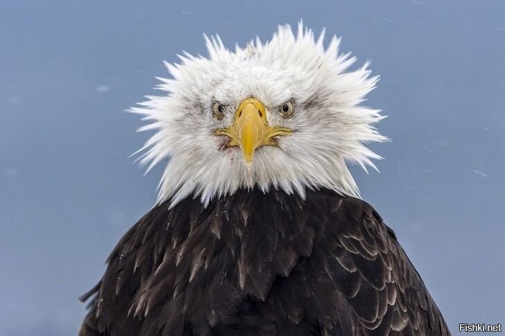 С добрым утром)