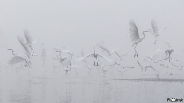 И на этом моменте пожелаю всем хорошей ночи. По желанию-спокойной, страстной, доброй, тихой и т.д. 
Я улетела....