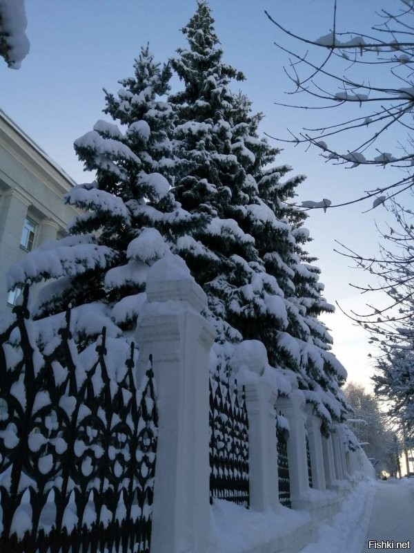 -20', снегу по колено. Мороз и солнце!