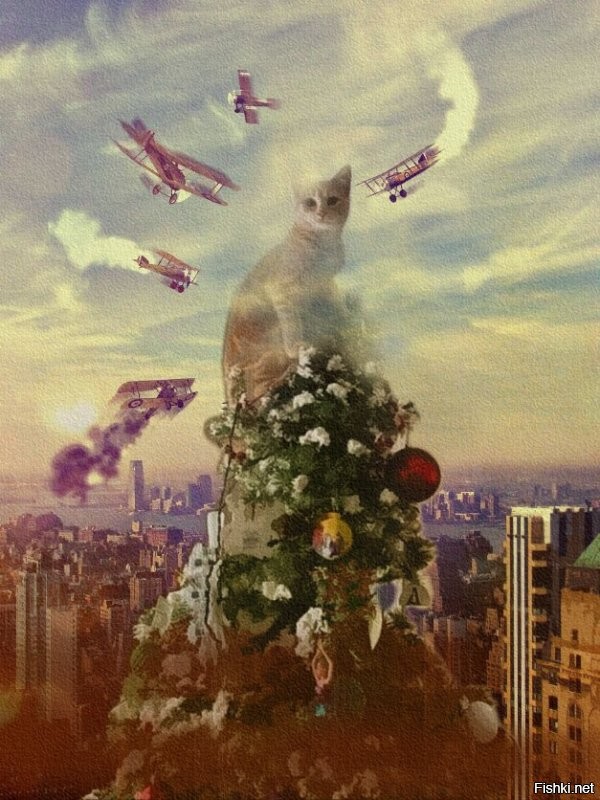 Солянка от 12.12.2021