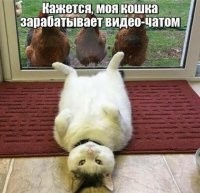 Три рыжие цыпочки без стыда смотрят на мохнатую киску. Смотреть без смс и смотреть регистрации.