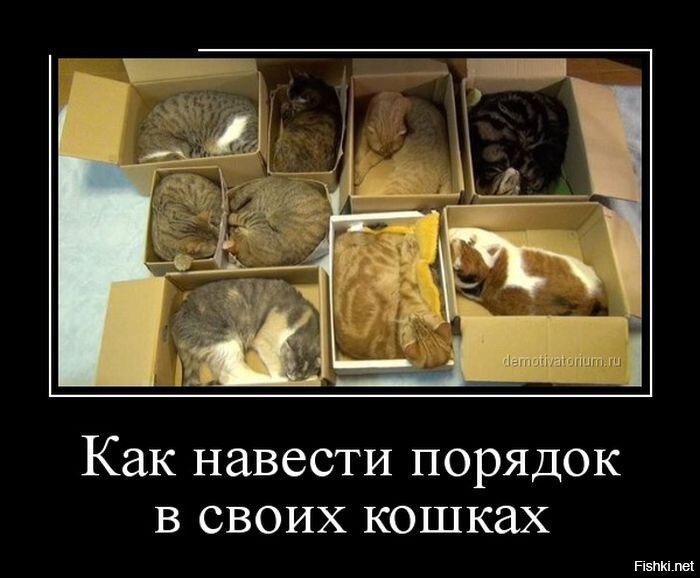 Просто картинки для отличных выходных