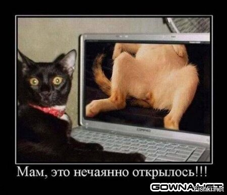 Воскресный позитив