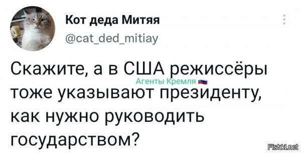 бывало. но очень осторожно... ну и по шапке за их "шедевры" тоже огребают, если вдруг что.
Мэл Гибсон, Майкл Мур - например. ага ;) почитайте об взаимоотношениях этих товарищей с белым домом. другие примеры, наверняка тоже есть, просто менее публичные.