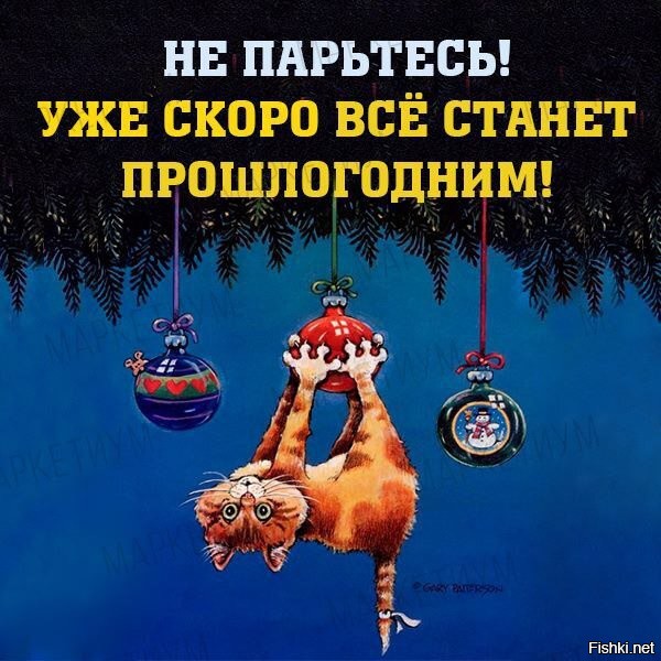 Солянка от 12.12.2021