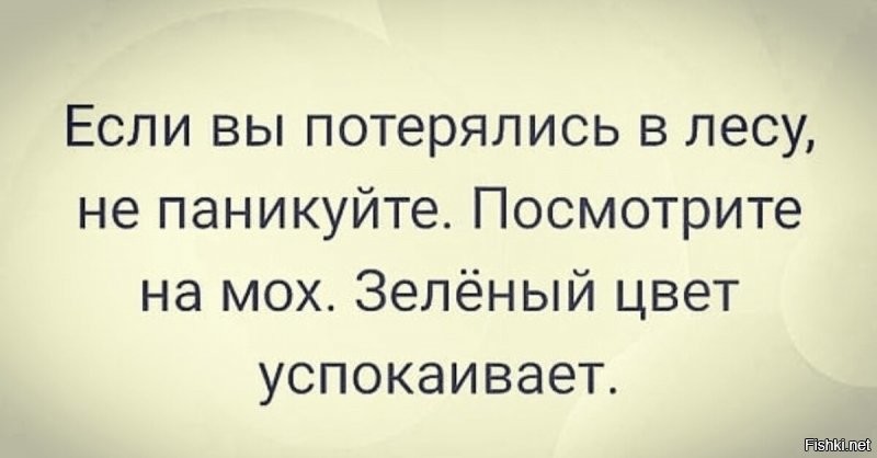 Солянка от 12.12.2021