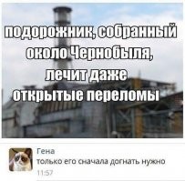 Сборник приколов
