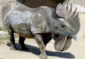 15 работ фотошопера, который делает так, как его просят подписчики