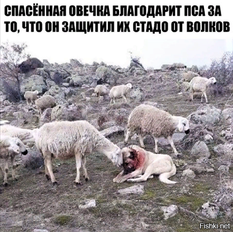 Да, так и есть. Вот: