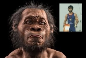 Похоже эволюция начала движение в обратном направление.