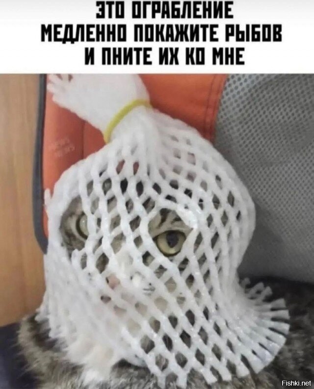 Картинки в чёрно-белых тонах. Выпуск 60 ( воскресный)