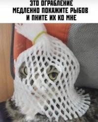 Картинки в чёрно-белых тонах. Выпуск 60 ( воскресный)