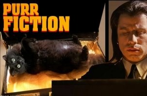 Вот что лежало в чемоданчике: