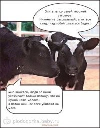 Зловещий «Омикрон»: любителей теорий заговоров снова прорвало